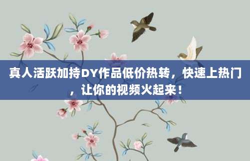 真人活跃加持DY作品低价热转,快速上热门,让你的视频火起来!
