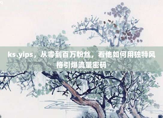 ks.yips,从零到百万粉丝,看他如何用独特风格引爆流量密码