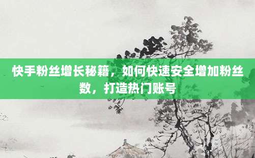 快手粉丝增长秘籍,如何快速安全增加粉丝数,打造热门账号