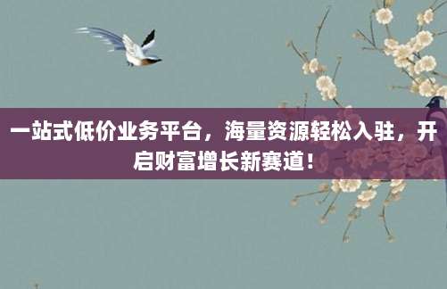 一站式低价业务平台,海量资源轻松入驻,开启财富增长新赛道!