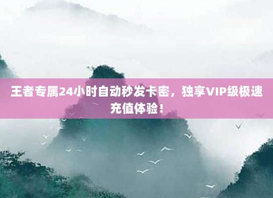 王者专属24小时自动秒发卡密,独享VIP级极速充值体验!
