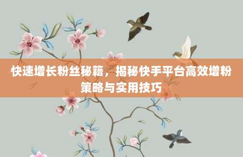 快速增长粉丝秘籍,揭秘快手平台高效增粉策略与实用技巧