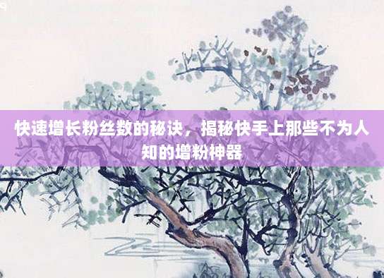 快速增长粉丝数的秘诀,揭秘快手上那些不为人知的增粉神器