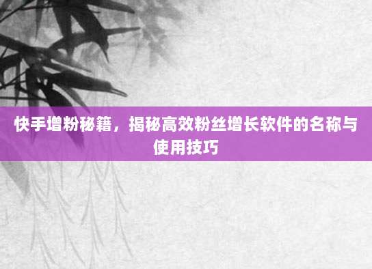 快手增粉秘籍,揭秘高效粉丝增长软件的名称与使用技巧