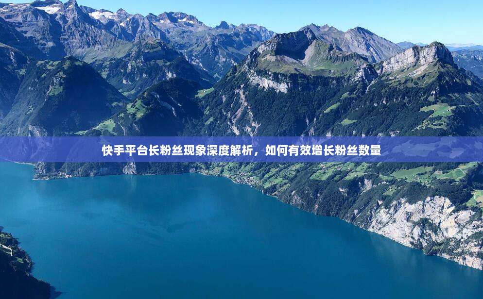 快手平台长粉丝现象深度解析,如何有效增长粉丝数量