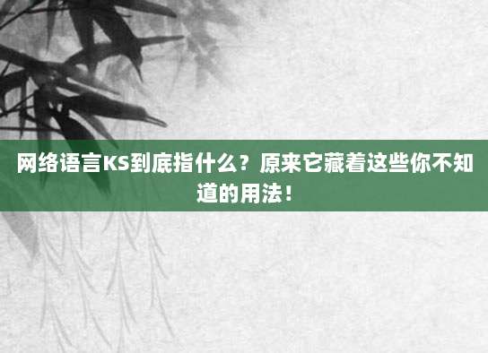 网络语言KS到底指什么?原来它藏着这些你不知道的用法!