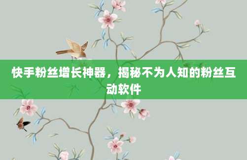 快手粉丝增长神器,揭秘不为人知的粉丝互动软件
