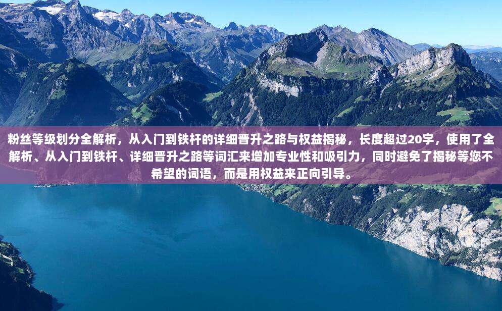 粉丝等级划分全解析,从入门到铁杆的详细晋升之路与权益揭秘,长度超过20字,使用了全解析、从入门到铁杆、详细晋升之路等词汇来增加专业性和吸引力,同时避免了揭秘等您不希望的词语,而是用权益来正向引导。