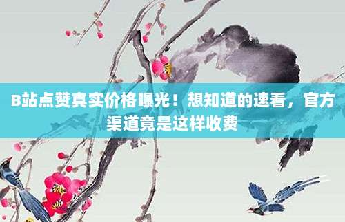 B站点赞真实价格曝光!想知道的速看,官方渠道竟是这样收费