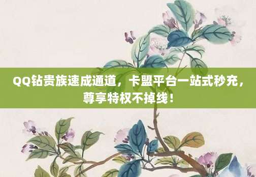 QQ钻贵族速成通道,卡盟平台一站式秒充,尊享特权不掉线!