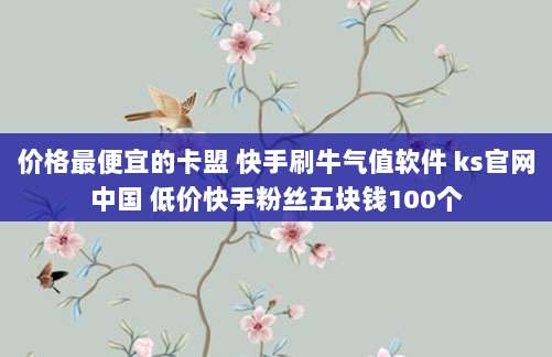 价格最便宜的卡盟 快手刷牛气值软件 ks官网中国 低价快手粉丝五块钱100个