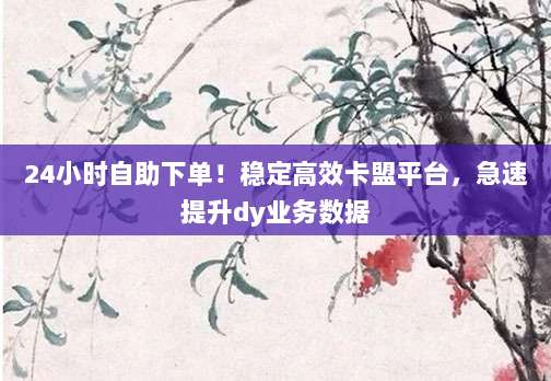 24小时自助下单!稳定高效卡盟平台,急速提升dy业务数据