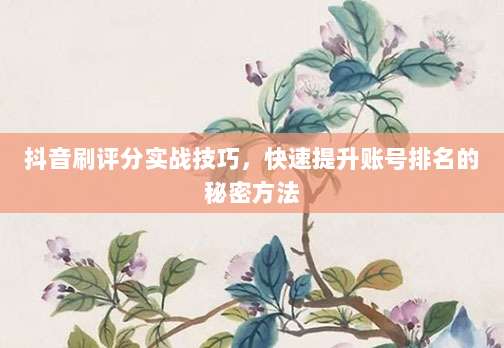 抖音刷评分实战技巧,快速提升账号排名的秘密方法