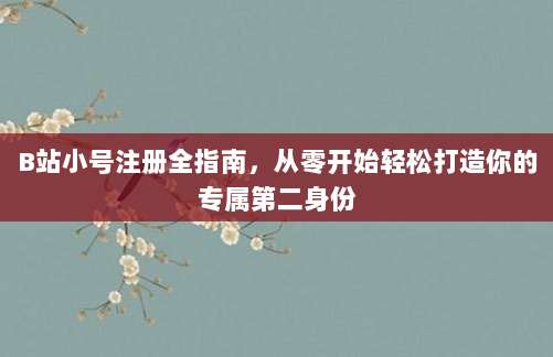 B站小号注册全指南,从零开始轻松打造你的专属第二身份