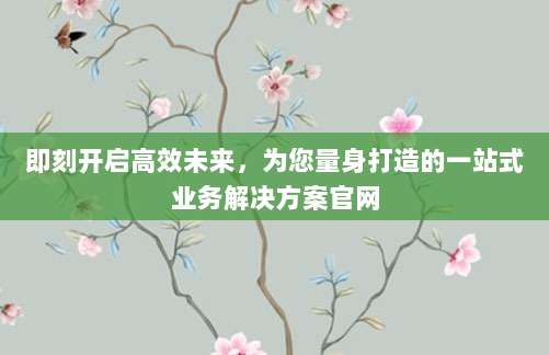 即刻开启高效未来,为您量身打造的一站式业务解决方案官网