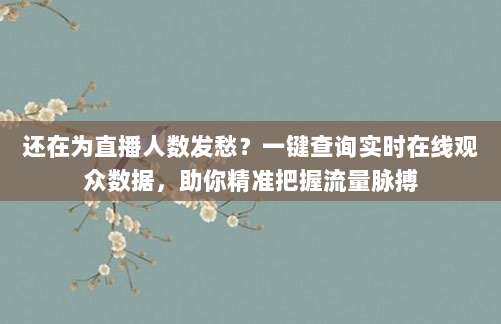 还在为直播人数发愁?一键查询实时在线观众数据,助你精准把握流量脉搏