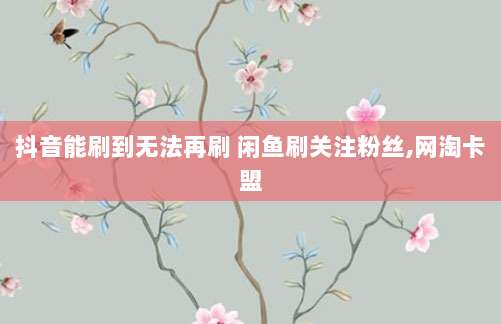 抖音能刷到无法再刷 闲鱼刷关注粉丝,网淘卡盟