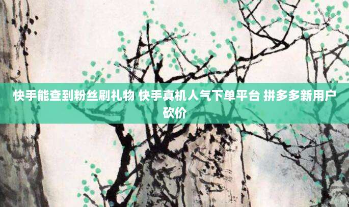 快手能查到粉丝刷礼物 快手真机人气下单平台 拼多多新用户砍价