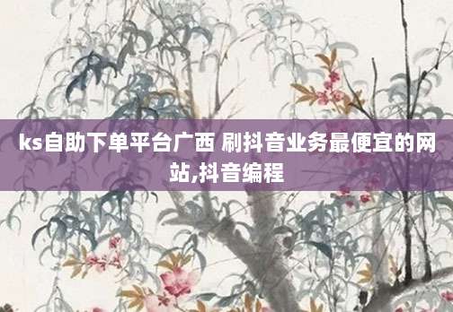 ks自助下单平台广西 刷抖音业务最便宜的网站,抖音编程